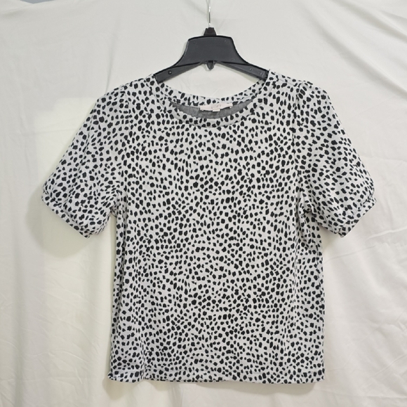 LOFT Tops - Loft Womens Large Black White Animal Print Short Sleeve Blouse